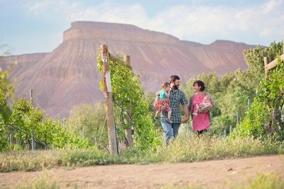 A view of Mt. Garfield with the Portra family walking through vines